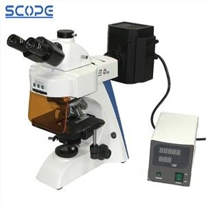 Mercury Lampe Epi Fluorescence Mikroskopi